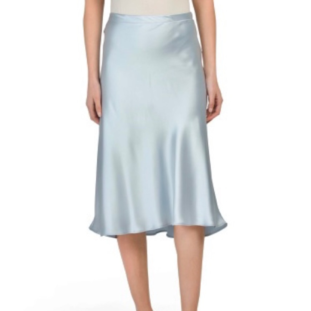 NWT Rachel Zoe Slip Blue Skirt